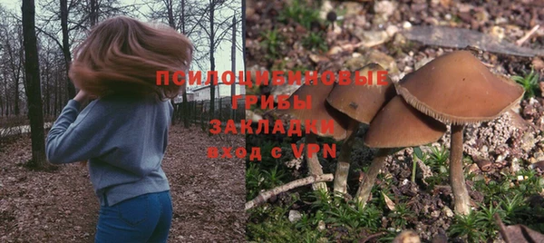 хмурый Рославль