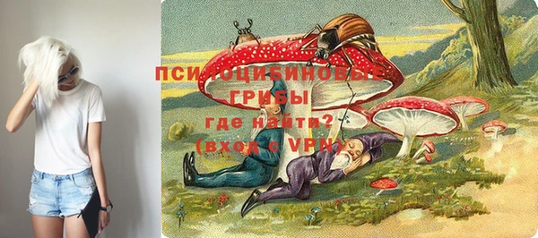 дурь Россошь