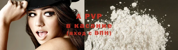 хмурый Рославль